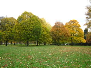 Hyde Park in Autumn